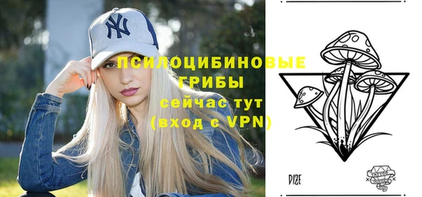 шишки Остров