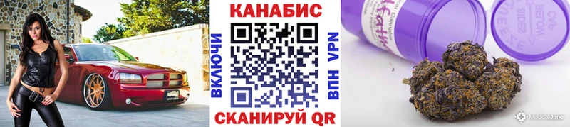 Бошки Шишки план  Куртамыш 